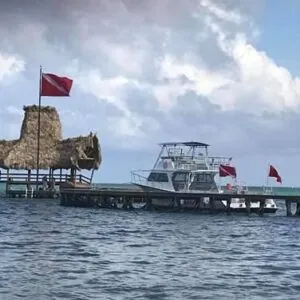 Pacific Paradise Divers