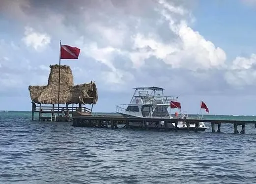 Pacific Paradise Divers