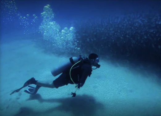Aquarius Dive Club