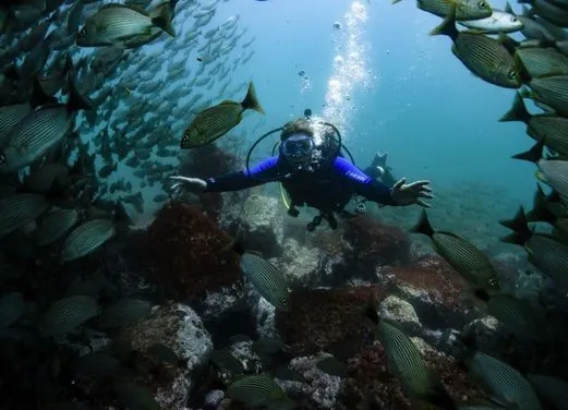Pacific Coast Dive Center