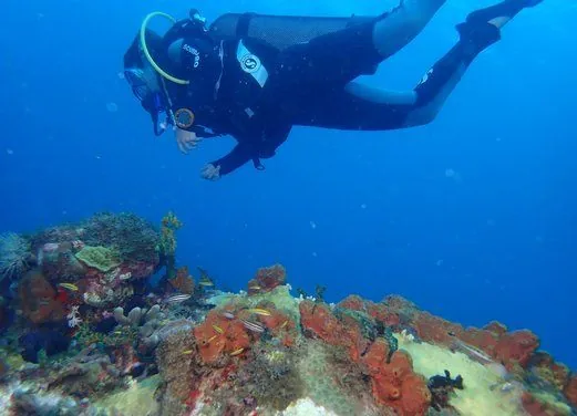 Tropicalsub Diving