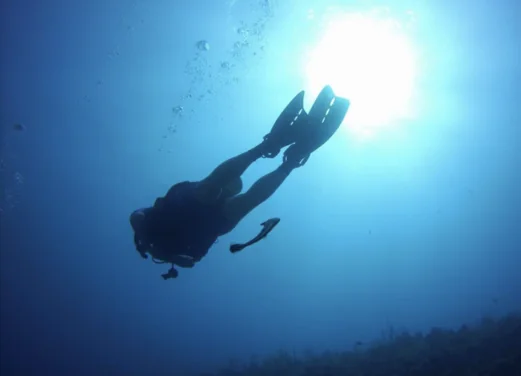 Admiralty Dive Center