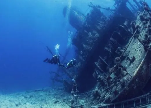 Ocean Diving Center