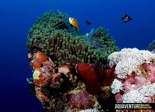 Aquaventure Dive Center