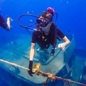 Art of Diving