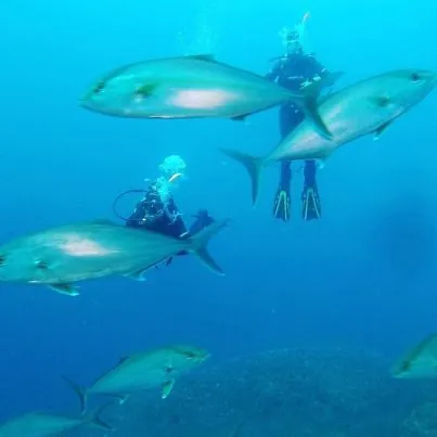 Dive Greece
