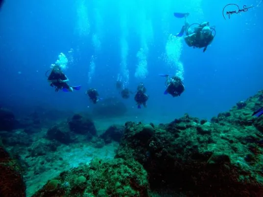 Corn Island Dive Center