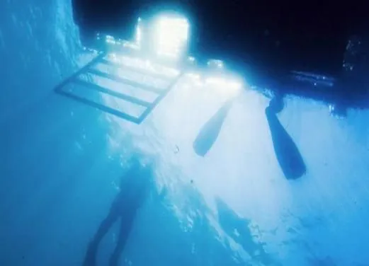 Ocean Diving Center