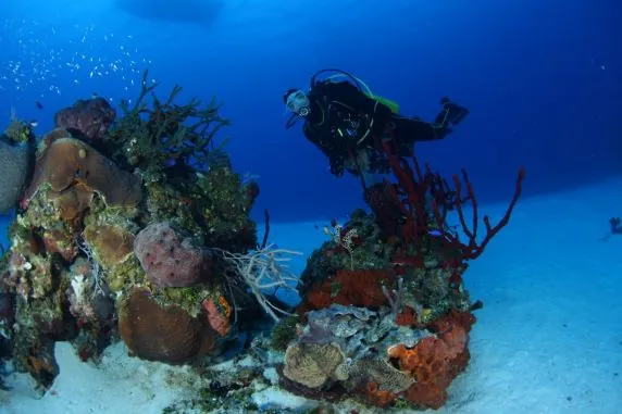Atlántis Varadero Scuba Diving Center