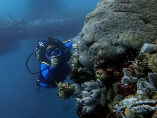 Chelonia Dive Center