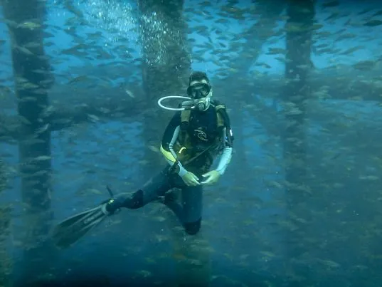 Chelonia Dive Center