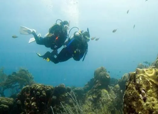 Ocean Diving Center