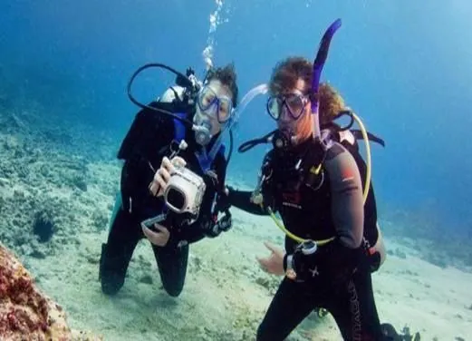 Ocean Diving Center