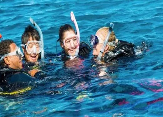 Ocean Diving Center