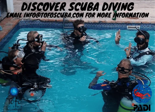 Tofo Scuba