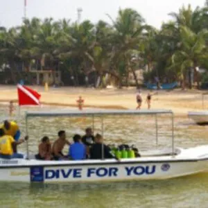 Dive For You