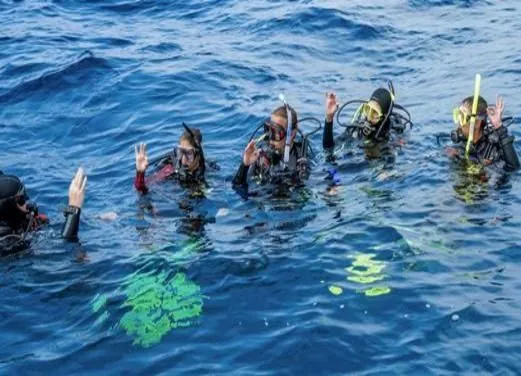 Ocean Diving Center