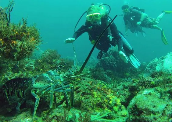 Undersea Tobago Ltd