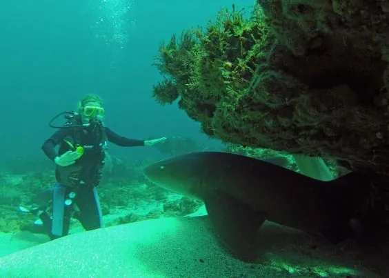 Undersea Tobago Ltd