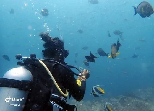 Divers Land Dive Club