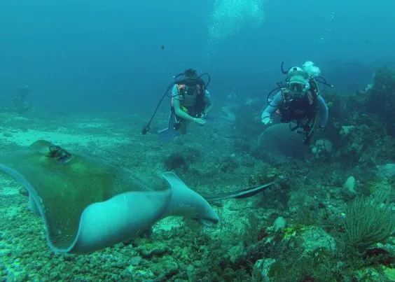 Undersea Tobago Ltd
