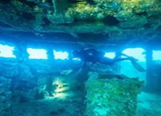 The Dive Shack