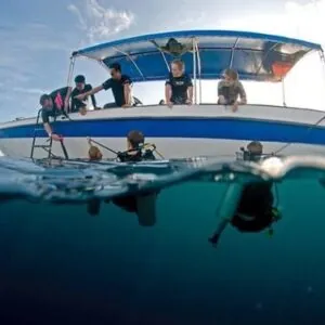 The Dive Shack