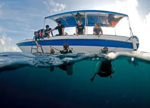 The Dive Shack