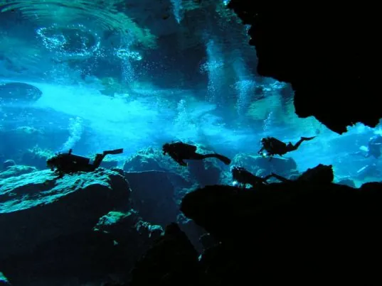 Green Divers Tulum