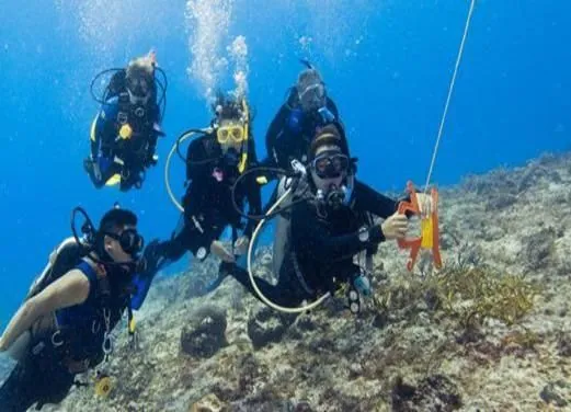 Ocean Diving Center