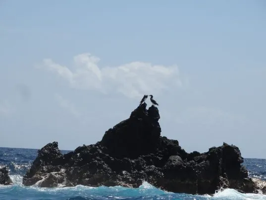 Corn Island Dive Center