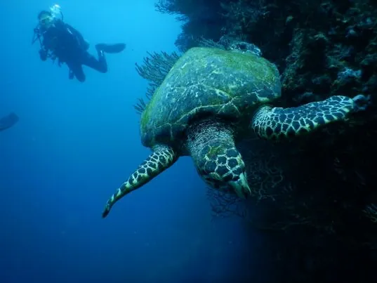 Poseidon Dive Center