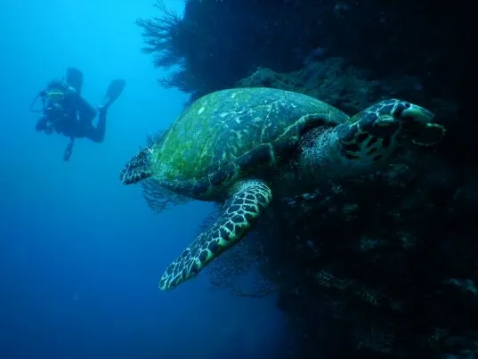 Poseidon Dive Center