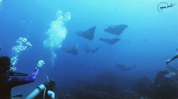 Corn Island Dive Center