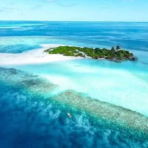 Drop Dive Maldives