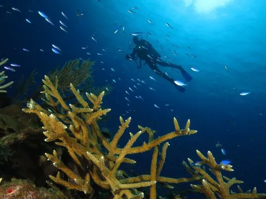 Atlántis Varadero Scuba Diving Center