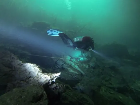 Green Divers Tulum