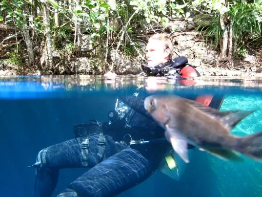 Green Divers Tulum