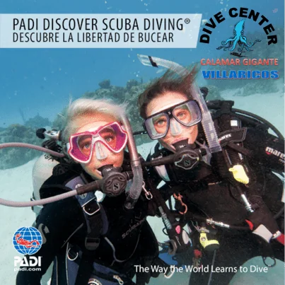 Buceo Calamar Gigante
