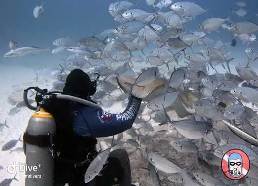 Phantom Divers