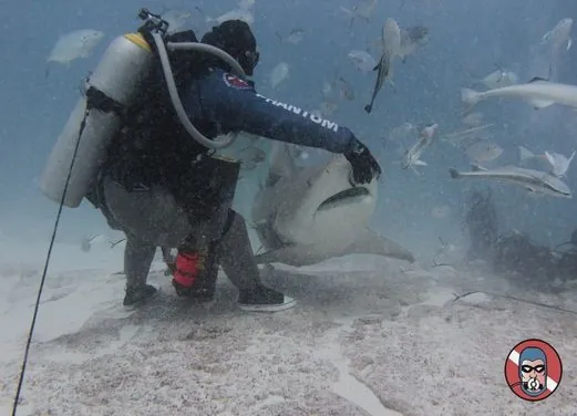 Phantom Divers