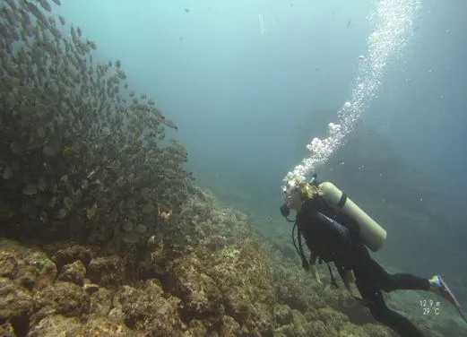 Be Water Diving
