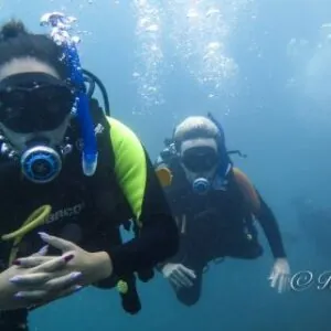 Blue Dream Diving and Adventures