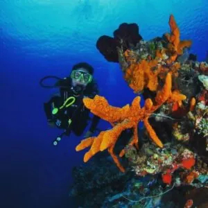 Atlántis Varadero Scuba Diving Center