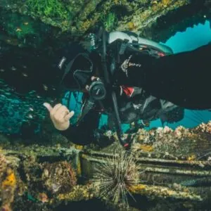 Poni Divers