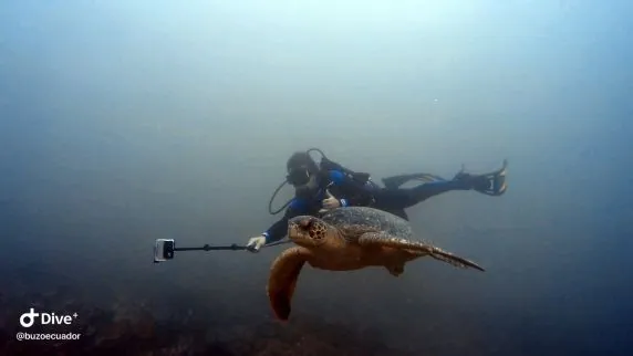 Buzo Ecuador