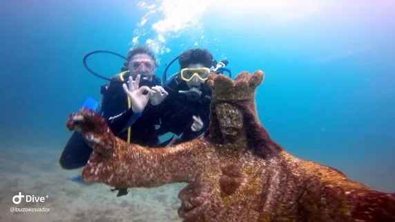 Buzo Ecuador