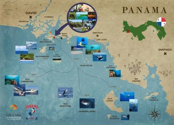 Cala Mia Dive Resort