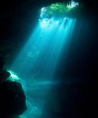 Green Divers Tulum