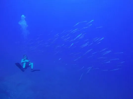 GoDIVE Mykonos Diving Center